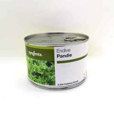 SGS ENDIVE PANDIE ENROBEE 5KS