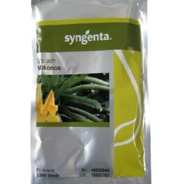 SGS COURGETTE MIKONOS F1 TRAITÉ 1KS