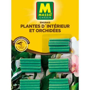 MASSO BATONNET ENG PL.APPART & ORCHIDEES