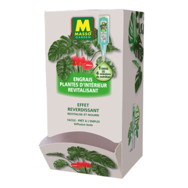 MASSO PIPETTE MONO-DOSE PL.INTERIEUR 40ML