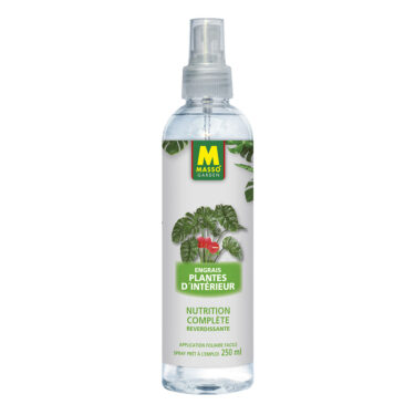 MASSO ENG FOLIAIRE PL.INTERIEUR 250ML