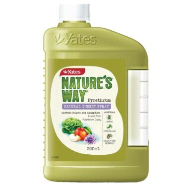 YATES PYRETHRUM CONCENTRE 200ML