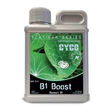CYCO B1 BOOST 250ML