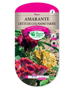 506 AMARANTE CRETE DE COQ NAINE
