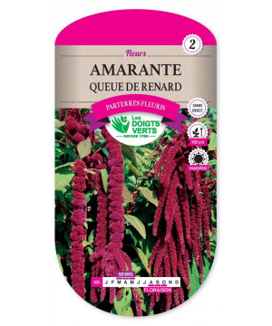 505 AMARANTE QUEUE DE RENARD