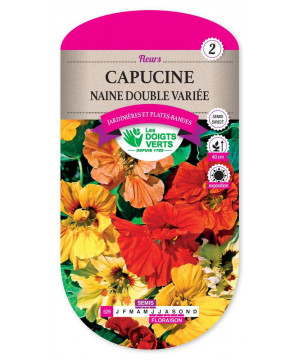 529 CAPUCINE NAINE DOUBLE