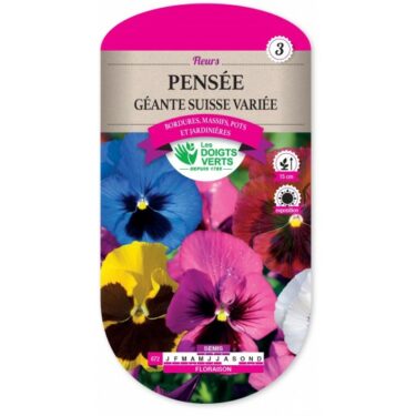 672 PENSEE GEANTE SUISSE VARIEE