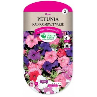675 PETUNIA NAIN COMPACT VARIE