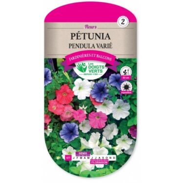 677 PETUNIA PENDULA VARIE