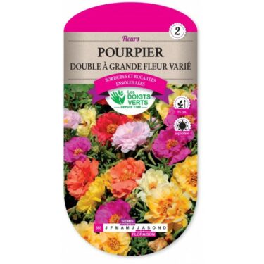 689 POURPIER GRANDE FLEUR DOUBLE VARIE