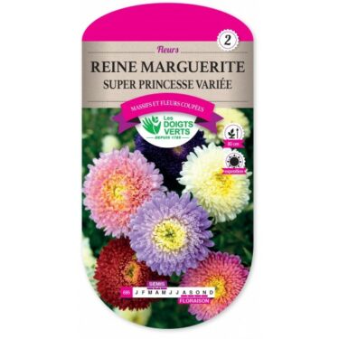 695 REINE MARGUERITE SUPER PRINC. VARIEE