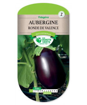 9 AUBERGINE RONDE DE VALENCE