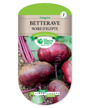 14 BETTERAVE NOIRE D'EGYPTE