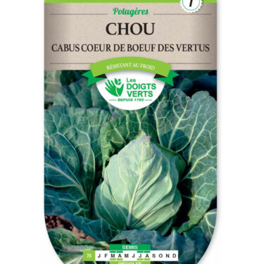 78 CHOU CABUS COEUR DE BOEUF