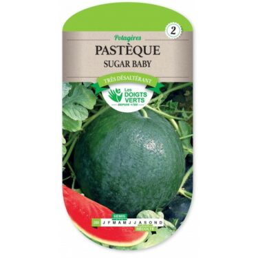 288 PASTEQUE SUGAR BABY