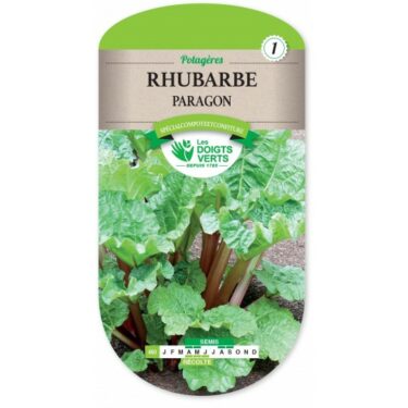 460 RHUBARBE