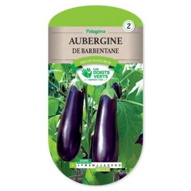 8 AUBERGINE DE BARBENTANE