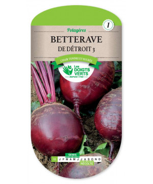 13 BETTERAVE DE DETROIT 3