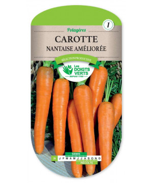 26 CAROTTE NANTAISE AMELIOREE 2