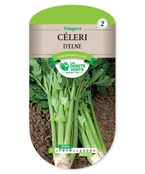41 CELERI D'ELNE