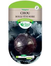 86 CHOU ROUGE TETE NOIRE 3