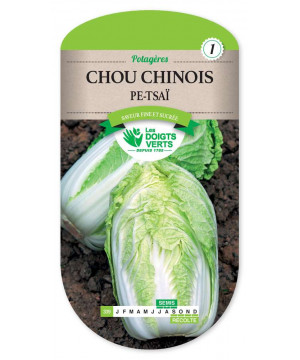 339 CHOU CHINOIS PE TSAI