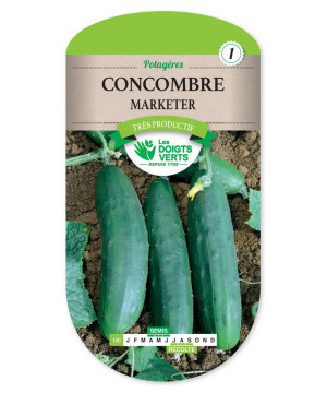 140 CONCOMBRE MARKETER