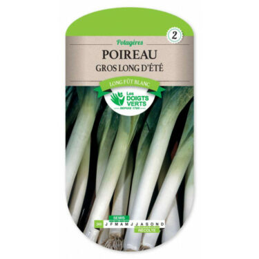 349 POIREAU GROS LONG D'ETE DU MIDI 2