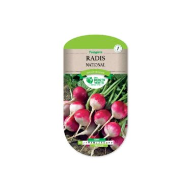 401 RADIS NATIONAL 4 RD ROSE BOUT BL