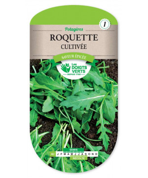 462 ROQUETTE CULTIVEE