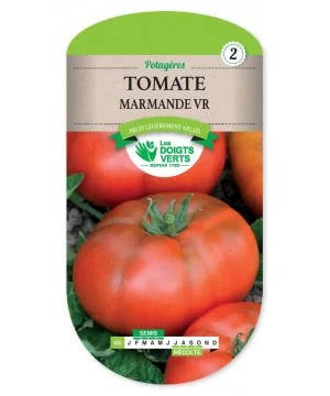 430 TOMATE DE MARMANDE VR