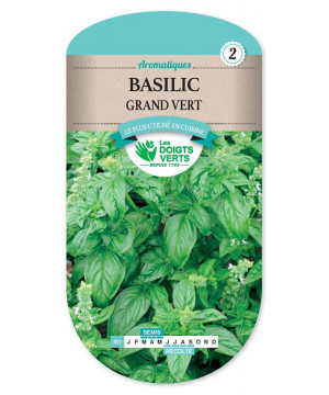 451 BASILIC GRAND VERT