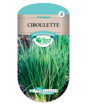 452 CIBOULETTE