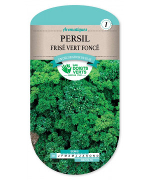 335 PERSIL FRISE VERT FONCE