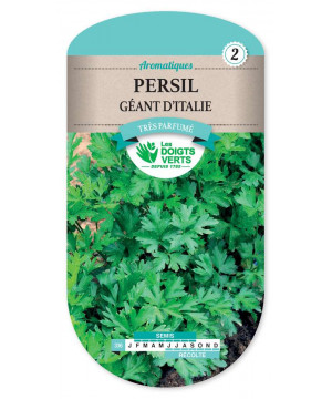 336 PERSIL GEANT D'ITALIE