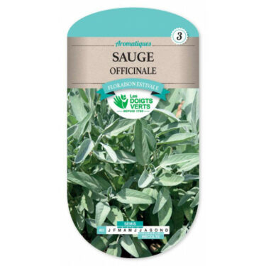 465 SAUGE OFFICINALE