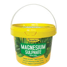 SEARLES SULFATE DE MAGNESIE 700G "SEL D'EPSOM"