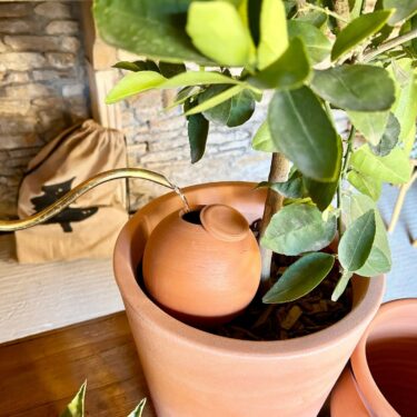 OLLAS A PLANTER NATURE M