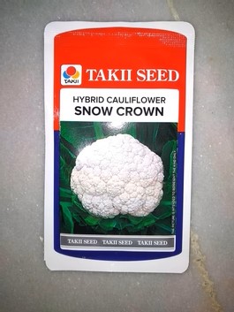 TAKII CHOU-FLEUR SNOW CROWN 100G