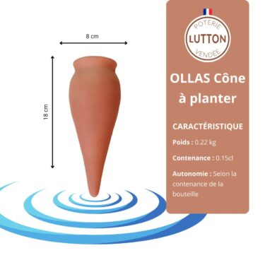 CONES NATURE