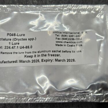 PHÉROMONE ORYCTALURE P046-Lure
