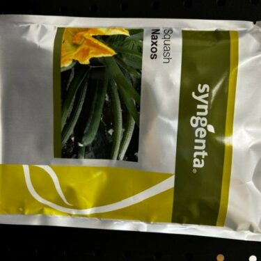 SGS COURGETTE NAXOS F1 TRAITÉ 1KS