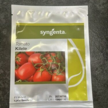 SGS TOMATE KILELE F1 TRAITÉ 1KS