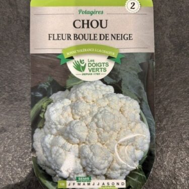 106 CHOU-FLEUR ERFURT BOULE DE NEIGE