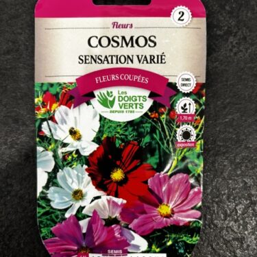 545 COSMOS SENSATION