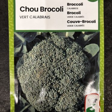 114 CHOU BROCOLI VERT DE CALABRAIS