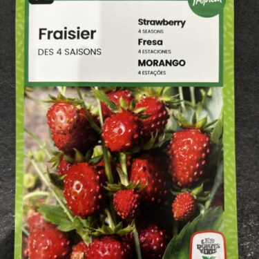 162 FRAISIER DES 4 SAISONS
