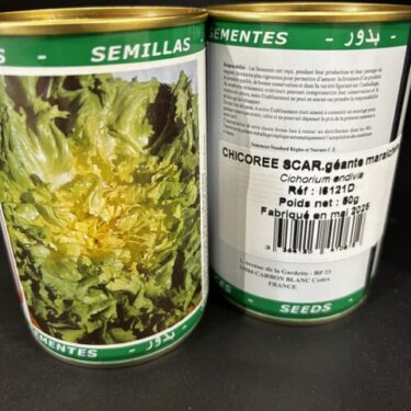 61 CHICOREE SCAROLLE GEANTE MARAICHERE BOITE 50G