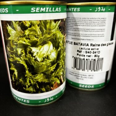 240 LAITUE BATAVIA REINE DES GLACES BOITE 50G