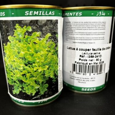 259 LAITUE A COUPER FEUILLE DE CHENE BOITE 50G